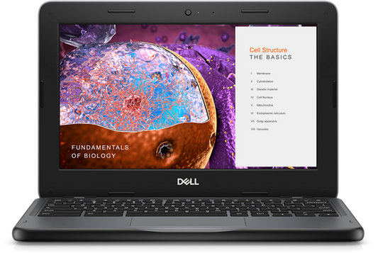 Dell Chromebook 3110